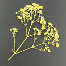 Fashion Mixed Dried Flowers Nail Art DIY Women Girl Decor Flower Manicure Crafts