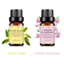 6 Bottles 10ml Essential Aromatherapy Oil Pure Natural Set for Aroma Diffuser