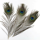 20pcs Beautiful Natural Peacock Feathers for Birthday Party Gift Banque DIY DBH