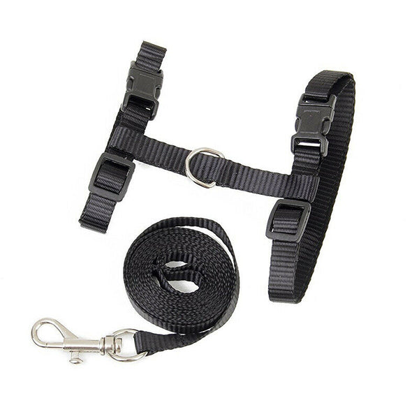 Nylon Adjustable Harness & Leash For Animals Black