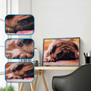 5D DIY Full Drill Square Diamond Painting Sad Dog Cross Stitch Embroidery