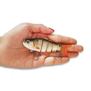 Minnow Lure Fishing Lures 10cm 19g Floating Isca Artificial Bait Japan O9F3 Z0X4