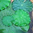 8Pcs Artificial Simulation Lotus Leaves Floating Foam Lotus Leaves Water LilD9I2