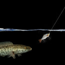 10cm / 4 "15.5g Bionic realistic Hard Multi-segments bait for sun-fish Bass