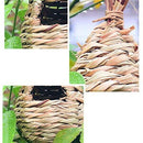 2 Pack Grass Bird Hut Bird House House Hanging Bird Nest Fiber Hand-Woven B P8A5