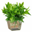 1 Bunch Plastic Leaf Artificial Silk Simulation Green Plant Radish Decor Ho B7P6