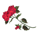 DIY Red Rose Flower Embroidered Applique Iron Sew on Patch Dress Jeans Badge 7"