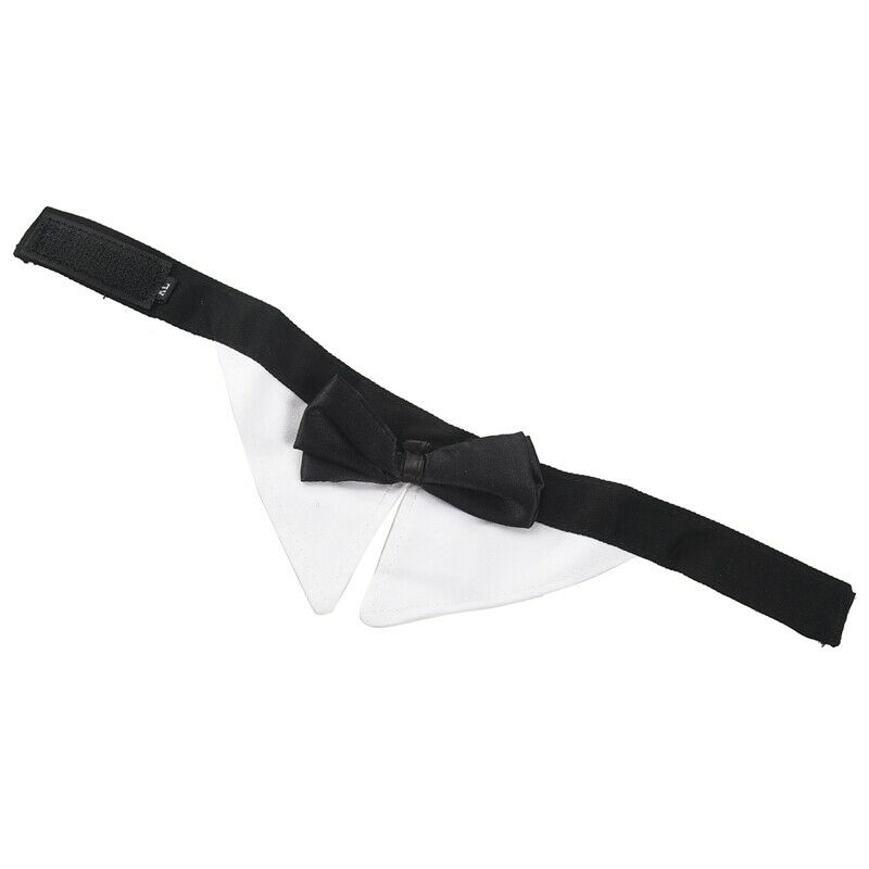 Tie Bow Tie Adjustable Collar for Pet Dog Cat Grooming XL