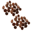 40PCS Natural Pine Cone Pinecone for Christmas Tree Table Decor Rustic STYLE
