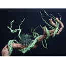 Bendable a Branch Ivy Vine Simulation Rattan Reptile Geckos 110cm/43.3inch for