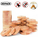 30Pcs 4.8cm Wardrobe Natural Moth Larvae Repeller Killer Cedar Wood Balls Rings