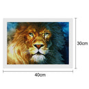 5D DIY Round Drill Diamond Painting Lion Cross Stitch Embroidery Needlework