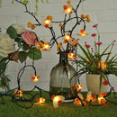 Solar LED Light Fairy String Honey Lamp Xmas Outdoor Garden Decor (50LED)