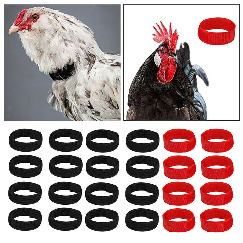 24 Pieces Chicken Collar Prevent Rooster from Screaming Disturbing Neighbors NEW