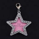 Dog Cat ID Tag Mini Anti Lost Zinc Alloy Pets Address Name Label Collar