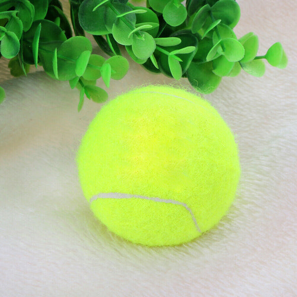 Dog Training Thrower Ball Toys Tennis Launcher Pet Food Reward (01) A#S