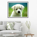 5D DIY Full Drill Diamond Painting Cute Animals Cross Stitch Craft Kit (04)