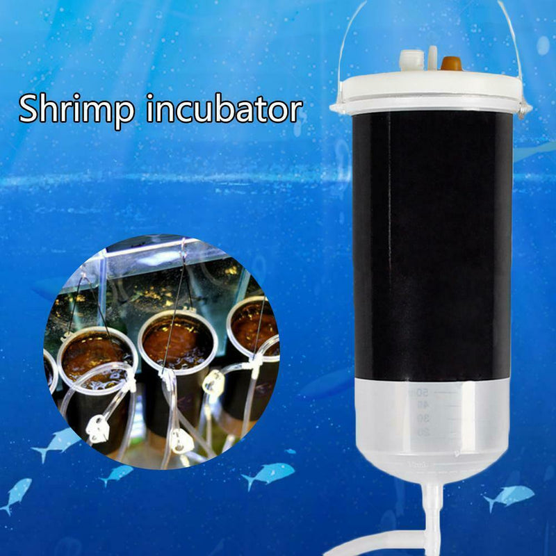 Brine Shrimp Incubator Fish Food Baby Fish Feed Fairy Shrimp Egg Hatch Tool