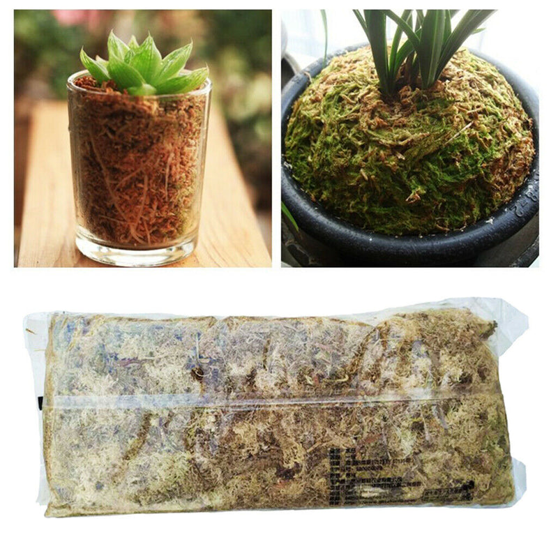 12L Natural Dry Sphagnum Moss Orchids for Potted Plants