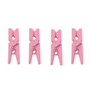 100 Mini wooden pegs (Pink) C4F2