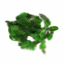 50 pcs Feather of cock Applique Sewing Decor Garment Hat DIY Jewelry 5-10 c P5O2