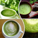Japanese Ceremony Bamboo 64 Matcha Powder Whisk Green Tea Chasen Brush Tool