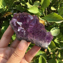 Amethyst Geode Druzy Crystal Quartz Cluster Natural Specimen 15-25g Pretty N3L5