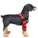 Dog Knee Joint Support Front Leg Compression Brace Protector Red - S