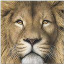5D Lion Diamond Painting Embroidery DIY Cross Stitch Craft Home Decor