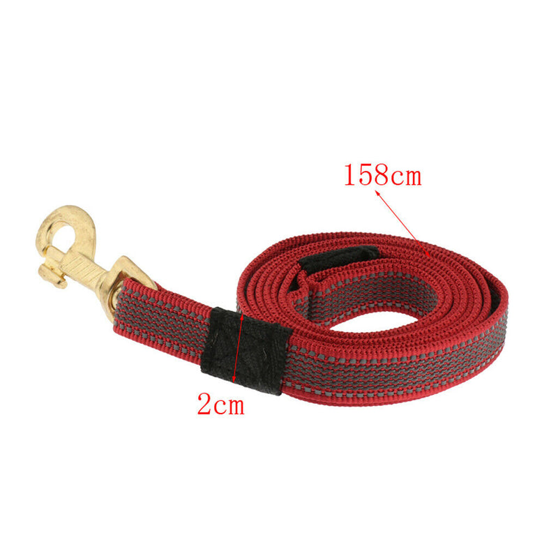 Durable Nylon Rope Dog Puppy Pet Training Leash with Clip for Collar Harness+Cat