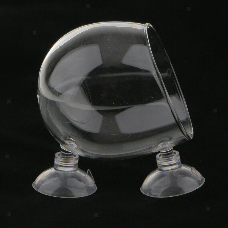 5Pcs Aquarium   Tank Glass Live Plant Cup Pot Crystal Red Shrimp Holder