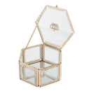 Glass Jewelry Make-up Organizer Box Geometric Terrarium Plants Holder