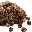 200 Pieces Thanksgiving Rustic Mini Brown Pine Cones in Bulk - Christmas Na