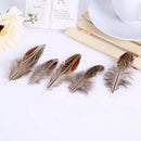 50pcs/set pheasant feathers 5-10cm chicken plumes for carnival diy craft de3cr