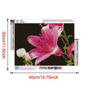 5D DIY Full Drill Diamond Painting Flower Cross Stitch Mosaic Kits (09)