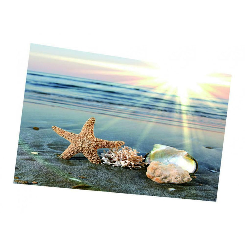 Under Sea Seabed World Backdrop Underwater Scene Colorful Aquarium Photography