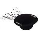 Mini Hat Mini Hat Hair Clip with Black Feather Hair Clips