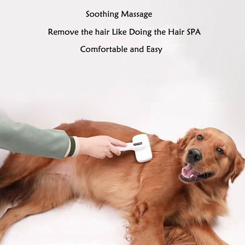 Pet Brush Self Clean Dog Comb Pet Products Pet Comb for Dogs Grooming Toll