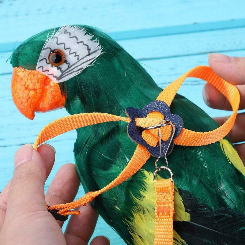 Parrot Leash Adjustable Harness Bird Anti Fly Outdoor Training Rope (Yellow