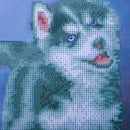 DIY 5D Diamond Embroidery Dog Animal Painting Cross Stitch Craft Home Decor