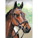 5D DIY Full Drill Diamond Painting Horse Cross Stitch Embroidery Kit (F)