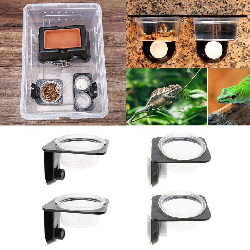 2Pcs Reptile Feeding Bowl Screw Food & Water Dish For Gecko, Lizard, Etc