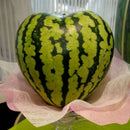 Big Size Plastic Clear Heart Watermelon Growing Mold Transparent Fruit Grow Q7A4