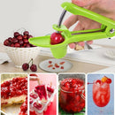 Green Cherry Pitter Olive Seed Corer Remover Handheld Kitchen Machine Cannin Gw
