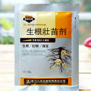 Plant fast rooting powder strong germination aid rapid Hot growth K0Q8