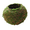 10Pcs Green Artificial Moss Balls Decorative Planters, Ideal for Vases, Table