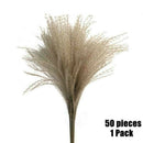 50Pcs Dried Flower Natural Phragmites Pampas Grass Wedding Bunch Bouquet Kit