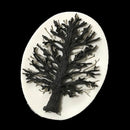 Tree Silicone Fondant Mold Cake Decorating Chocolate Sugarcraft DIY-Baking Mould