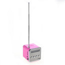 TD-V26 Portable Mini Digital Speaker with Micro SD / TF / USB /FM (Pink)