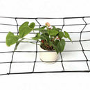 1x Garden Green Nylon Trellis Netting Support Climbing Bean Plant Net Gr BOV